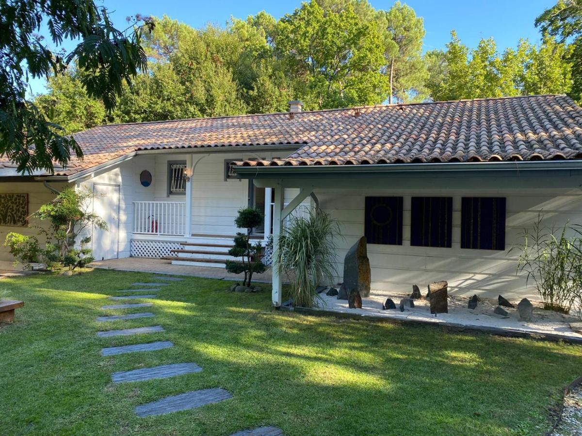 L'Esprit D'O Lacanau Exterior foto